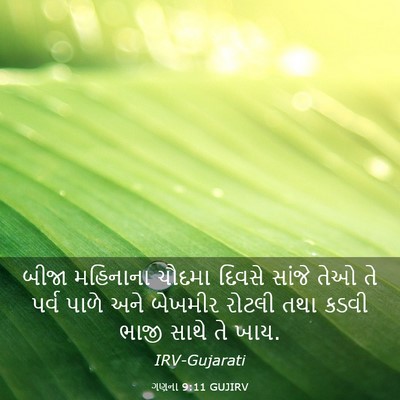 Picture 03 - ગણના 9:11 GUJIRV - બીજા મહિનાના - Bible Verse Picture