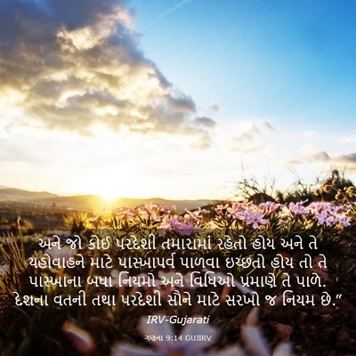 Picture 03 - ગણના 9:14 GUJIRV - અને જો કોઈ પરદેશી - Bible Verse Picture