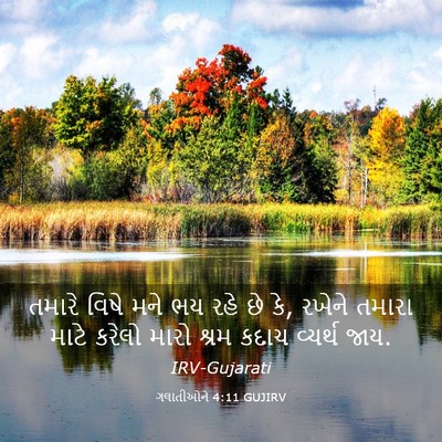 Picture 03 - ગલાતીઓને 4:11 GUJIRV - તમારે વિષે મને ભય - Bible Verse Picture