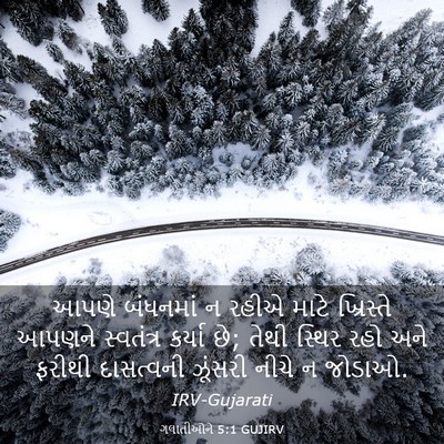 Picture 03 - ગલાતીઓને 5:1 GUJIRV - આપણે બંધનમાં ન - Bible Verse Picture