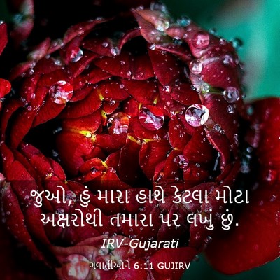 Picture 03 - ગલાતીઓને 6:11 GUJIRV - જુઓ, હું મારા હાથે - Bible Verse Picture