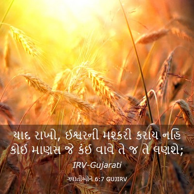 Picture 03 - ગલાતીઓને 6:7 GUJIRV - યાદ રાખો, ઈશ્વરની - Bible Verse Picture