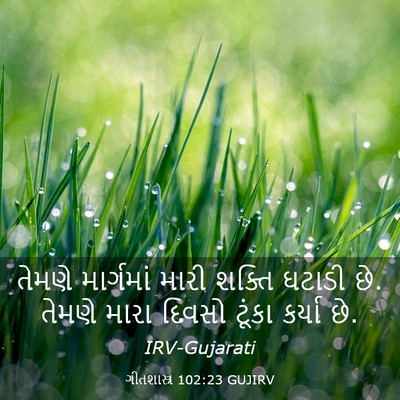 Picture 03 - ગીતશાસ્ત્ર 102:23 GUJIRV - તેમણે માર્ગમાં - Bible Verse Picture