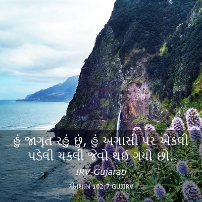 Picture 03 - ગીતશાસ્ત્ર 102:7 GUJIRV - હું જાગૃત રહું છું, - Bible Verse Picture
