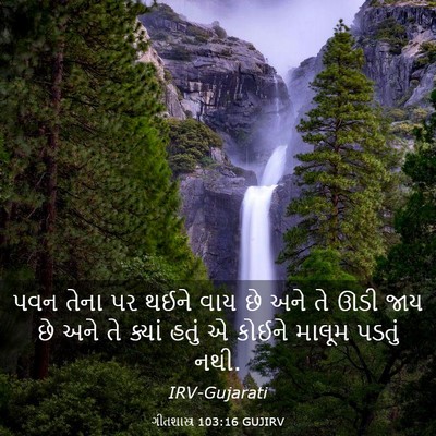 Picture 03 - ગીતશાસ્ત્ર 103:16 GUJIRV - પવન તેના પર થઈને - Bible Verse Picture