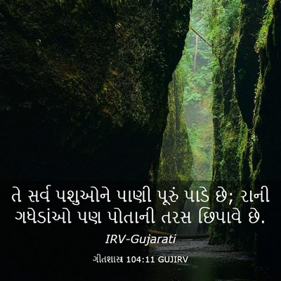 Picture 03 - ગીતશાસ્ત્ર 104:11 GUJIRV - તે સર્વ પશુઓને - Bible Verse Picture