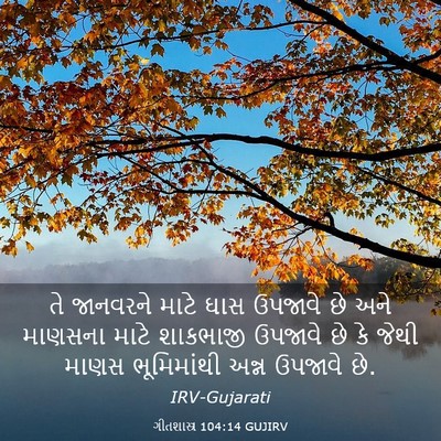 Picture 03 - ગીતશાસ્ત્ર 104:14 GUJIRV - તે જાનવરને માટે - Bible Verse Picture