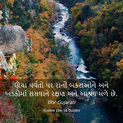 Picture 03 - ગીતશાસ્ત્ર 104:18 GUJIRV - ઊંચા પર્વતો પર - Bible Verse Picture