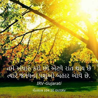 Picture 03 - ગીતશાસ્ત્ર 104:20 GUJIRV - તમે અંધારું કરો છો - Bible Verse Picture