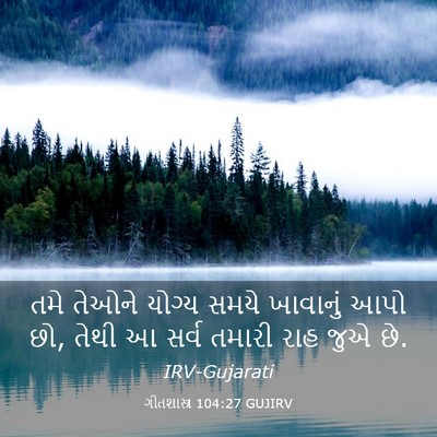 Picture 03 - ગીતશાસ્ત્ર 104:27 GUJIRV - તમે તેઓને યોગ્ય - Bible Verse Picture