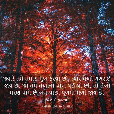 Picture 03 - ગીતશાસ્ત્ર 104:29 GUJIRV - જ્યારે તમે તમારું - Bible Verse Picture