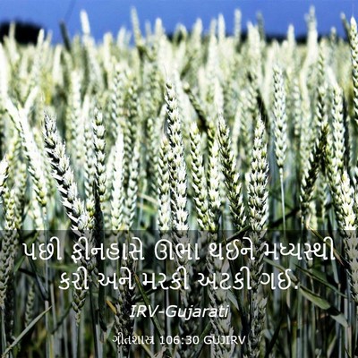 Picture 03 - ગીતશાસ્ત્ર 106:30 GUJIRV - પછી ફીનહાસે ઊભા - Bible Verse Picture