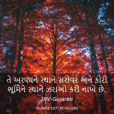 Picture 03 - ગીતશાસ્ત્ર 107:35 GUJIRV - તે અરણ્યને સ્થાને - Bible Verse Picture