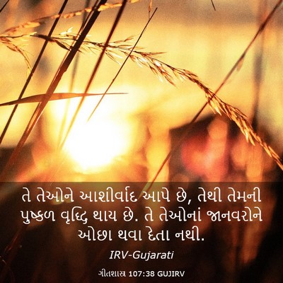 Picture 03 - ગીતશાસ્ત્ર 107:38 GUJIRV - તે તેઓને આશીર્વાદ - Bible Verse Picture