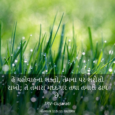 Picture 03 - ગીતશાસ્ત્ર 115:11 GUJIRV - હે યહોવાહના ભક્તો, - Bible Verse Picture