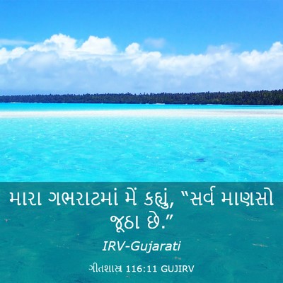 Picture 03 - ગીતશાસ્ત્ર 116:11 GUJIRV - મારા ગભરાટમાં મેં - Bible Verse Picture