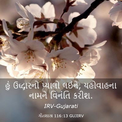 Picture 03 - ગીતશાસ્ત્ર 116:13 GUJIRV - હું ઉદ્ધારનો - Bible Verse Picture