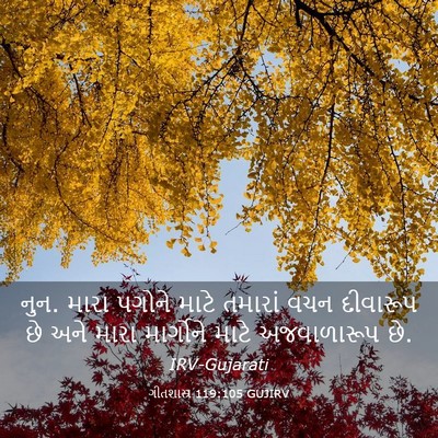 Picture 03 - ગીતશાસ્ત્ર 119:105 GUJIRV - નુન. મારા પગોને - Bible Verse Picture