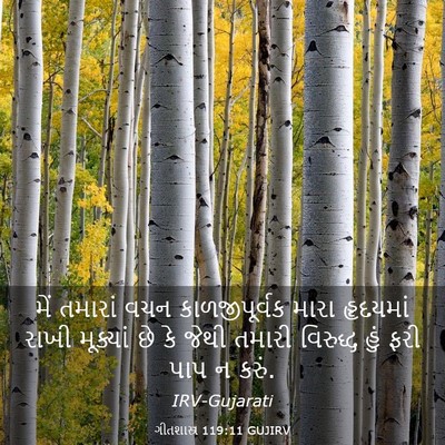 Picture 03 - ગીતશાસ્ત્ર 119:11 GUJIRV - મેં તમારાં વચન - Bible Verse Picture