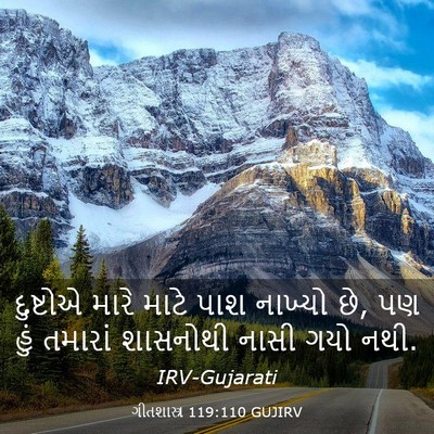 Picture 03 - ગીતશાસ્ત્ર 119:110 GUJIRV - દુષ્ટોએ મારે માટે - Bible Verse Picture