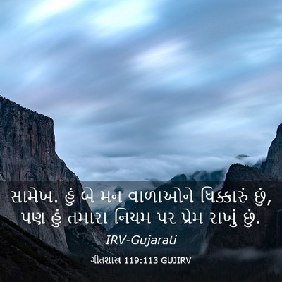 Picture 03 - ગીતશાસ્ત્ર 119:113 GUJIRV - સામેખ. હું બે મન - Bible Verse Picture