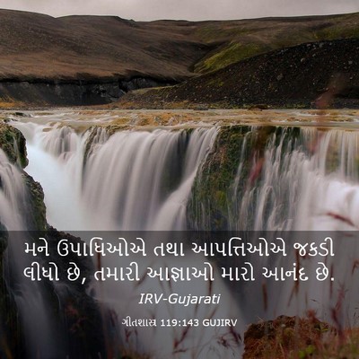 Picture 03 - ગીતશાસ્ત્ર 119:143 GUJIRV - મને ઉપાધિઓએ તથા - Bible Verse Picture