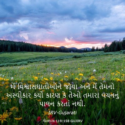 Picture 03 - ગીતશાસ્ત્ર 119:158 GUJIRV - મેં - Bible Verse Picture