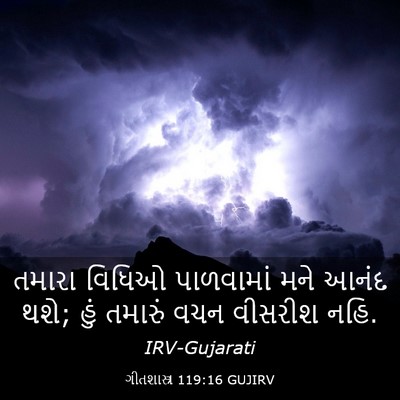 Picture 03 - ગીતશાસ્ત્ર 119:16 GUJIRV - તમારા વિધિઓ - Bible Verse Picture