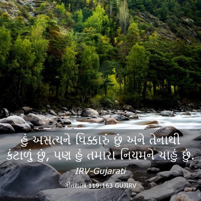 Picture 03 - ગીતશાસ્ત્ર 119:163 GUJIRV - હું અસત્યને - Bible Verse Picture
