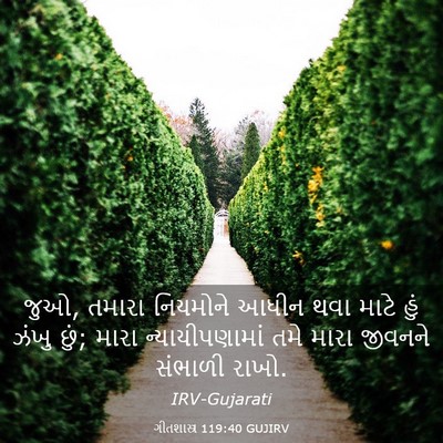 Picture 03 - ગીતશાસ્ત્ર 119:40 GUJIRV - જુઓ, તમારા નિયમોને - Bible Verse Picture