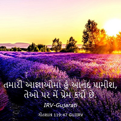 Picture 03 - ગીતશાસ્ત્ર 119:47 GUJIRV - તમારી આજ્ઞાઓમાં - Bible Verse Picture