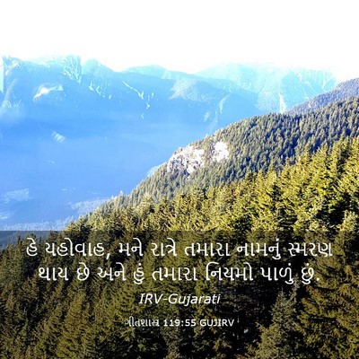 Picture 03 - ગીતશાસ્ત્ર 119:55 GUJIRV - હે યહોવાહ, મને - Bible Verse Picture