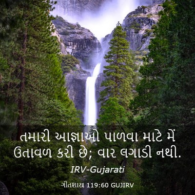 Picture 03 - ગીતશાસ્ત્ર 119:60 GUJIRV - તમારી આજ્ઞાઓ - Bible Verse Picture