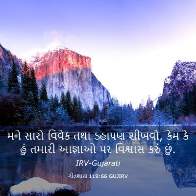 Picture 03 - ગીતશાસ્ત્ર 119:66 GUJIRV - મને સારો વિવેક તથા - Bible Verse Picture
