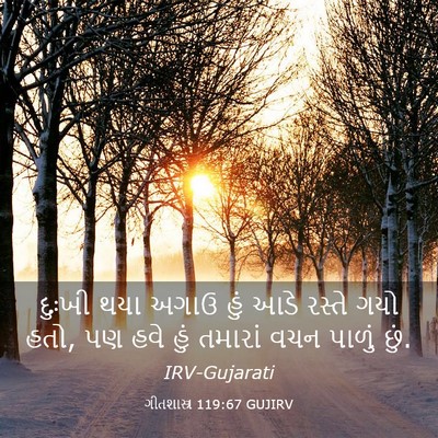 Picture 03 - ગીતશાસ્ત્ર 119:67 GUJIRV - દુઃખી થયા અગાઉ હું - Bible Verse Picture