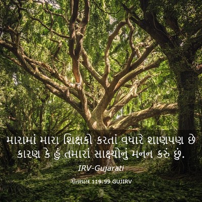 Picture 03 - ગીતશાસ્ત્ર 119:99 GUJIRV - મારામાં મારા - Bible Verse Picture