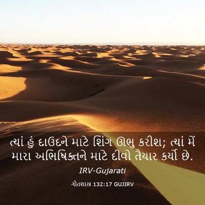 Picture 03 - ગીતશાસ્ત્ર 132:17 GUJIRV - ત્યાં હું દાઉદને - Bible Verse Picture