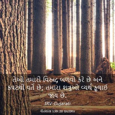 Picture 03 - ગીતશાસ્ત્ર 139:20 GUJIRV - તેઓ તમારી વિરુદ્ધ - Bible Verse Picture