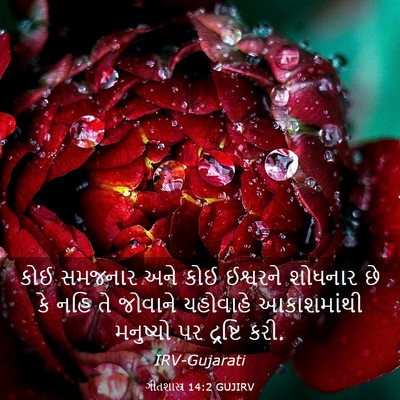 Picture 03 - ગીતશાસ્ત્ર 14:2 GUJIRV - કોઈ સમજનાર અને કોઈ - Bible Verse Picture
