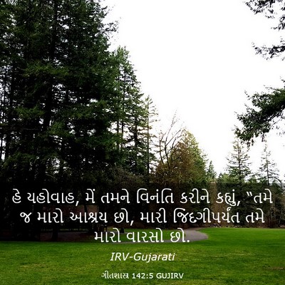 Picture 03 - ગીતશાસ્ત્ર 142:5 GUJIRV - હે યહોવાહ, મેં તમને - Bible Verse Picture