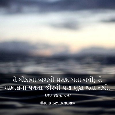 Picture 03 - ગીતશાસ્ત્ર 147:10 GUJIRV - તે ઘોડાના બળથી - Bible Verse Picture