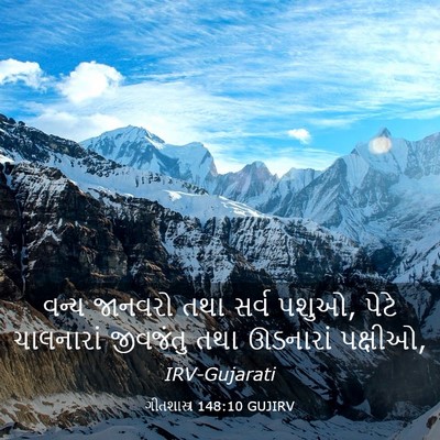 Picture 03 - ગીતશાસ્ત્ર 148:10 GUJIRV - વન્ય જાનવરો તથા - Bible Verse Picture