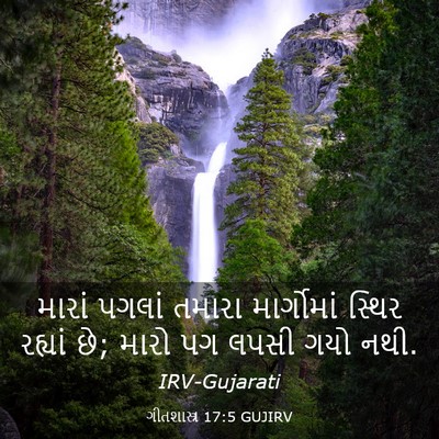 Picture 03 - ગીતશાસ્ત્ર 17:5 GUJIRV - મારાં પગલાં તમારા - Bible Verse Picture