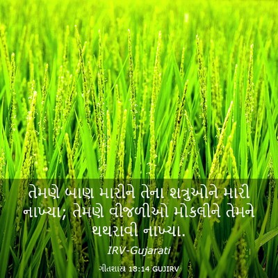 Picture 03 - ગીતશાસ્ત્ર 18:14 GUJIRV - તેમણે બાણ મારીને - Bible Verse Picture