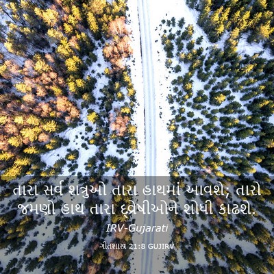 Picture 03 - ગીતશાસ્ત્ર 21:8 GUJIRV - તારા સર્વ શત્રુઓ - Bible Verse Picture