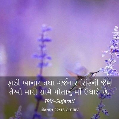 Picture 03 - ગીતશાસ્ત્ર 22:13 GUJIRV - ફાડી ખાનાર તથા - Bible Verse Picture