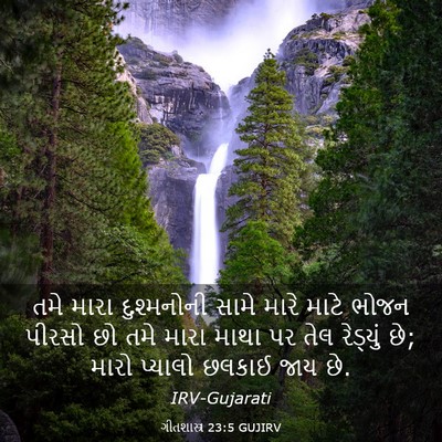 Picture 03 - ગીતશાસ્ત્ર 23:5 GUJIRV - તમે મારા - Bible Verse Picture