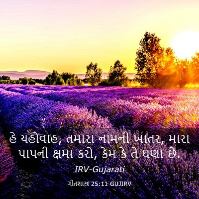 Picture 03 - ગીતશાસ્ત્ર 25:11 GUJIRV - હે યહોવાહ, તમારા - Bible Verse Picture