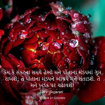 Picture 03 - ગીતશાસ્ત્ર 27:5 GUJIRV - કેમ કે સંકટના સમયે - Bible Verse Picture
