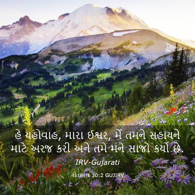 Picture 03 - ગીતશાસ્ત્ર 30:2 GUJIRV - હે યહોવાહ, મારા - Bible Verse Picture